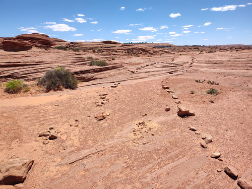 IMG 20240517 123119326.jpg