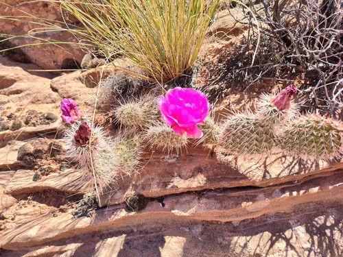 IMG 20240517 123246275 HDR.jpg