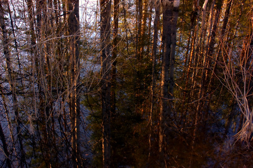 IMG 1549 1 Отражение в воде.jpg