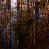 IMG 1549 1 Отражение в воде