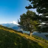 francesco ungaro kL 5sTsz4GE unsplash (1)