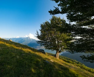 francesco ungaro kL 5sTsz4GE unsplash (1).webp