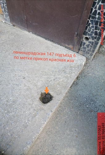 IMG 20240516 191258.jpg