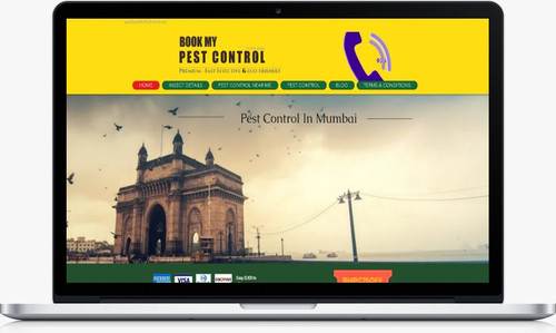 Affordable Pest Control Solutions in Mumbai Your Ultimate Guide.jpg