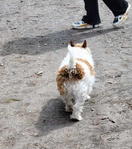 20220409 1336302 (1).jpg