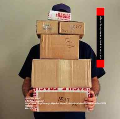 1e82a852 1400 11ef a8e0 165ca3fac83e.jpg