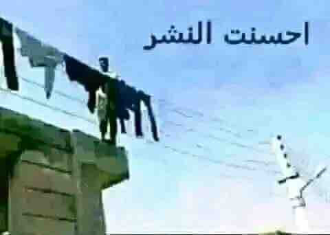 11D293C9 D455 4DB1 AD75 DAB83D375A8F.jpg