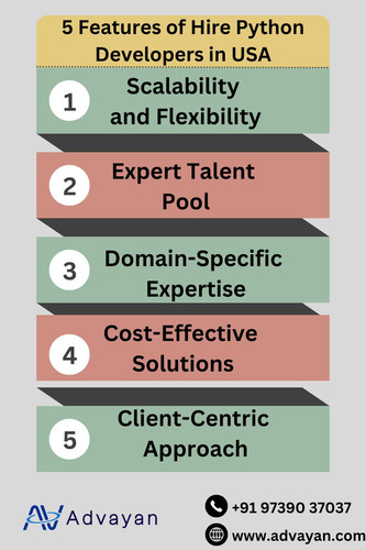 Hire Python Developers in USA.jpg