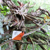 St Jean de Braye Parc Charbonniere 2