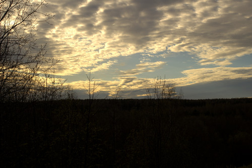 IMG 2203.jpg