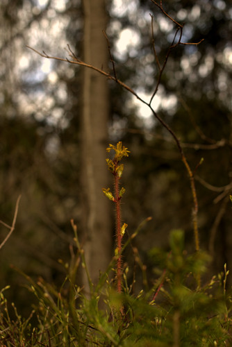 IMG 2201.jpg