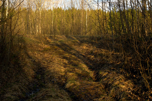 IMG 2222.jpg