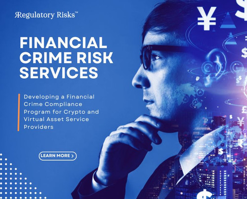 Financial Crime Risk Services for Crypto and Virtual Asset Service Providers.jpg