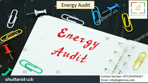 29.5.24eaudit.jpg