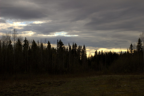 IMG 2175.jpg