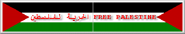 palestine (1).gif