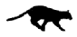 cat black run.gif
