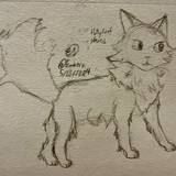 SotD Day #1: Hollyleaf WC (5/26/2024)