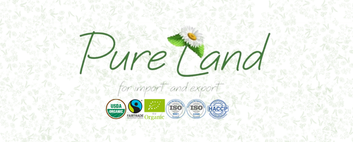 441492249 122095262444319927 5375066948253485121 n.png