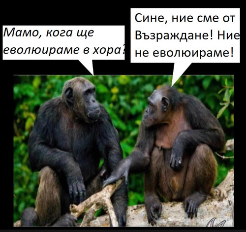възраждане 123.jpg