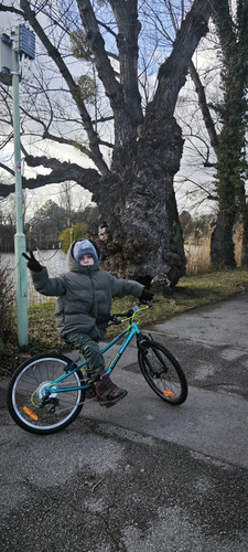 IMG 20231222 115716.jpg