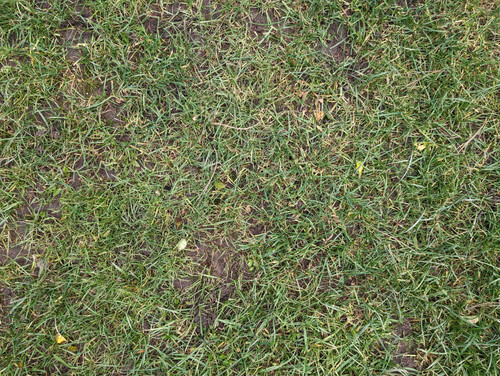 PXL 20231226 104751138.jpg