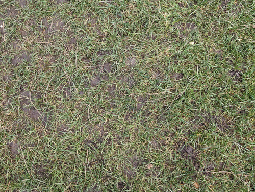 PXL 20231226 104744313.jpg