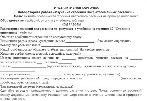 file 1803.jpg