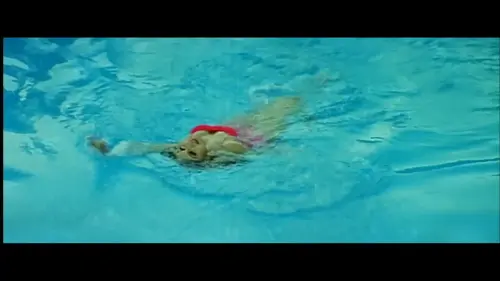 f 246.webp