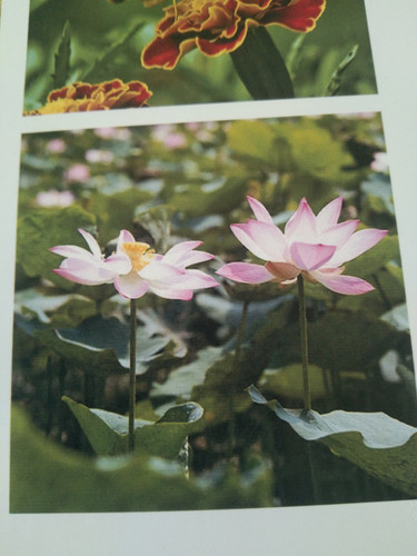 IMG 20231223 152352.jpg