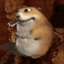 server icon.png