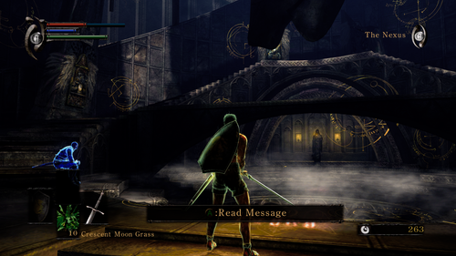 FPS 60.08 Vulkan 0.0.28 15154 Demon's Souls [BLUS30443] 25 12 2023 23 22 11.png