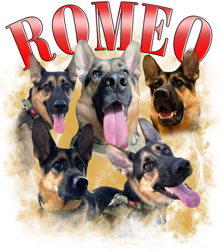 Custom dog Romeo.png