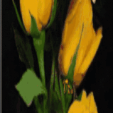 Escondite & dedicatorias de Jerico25.gif