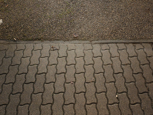 IMG 20231229 180536.jpg