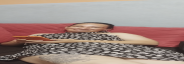 91f0d57f031d.png