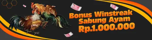 promosi 05.webp