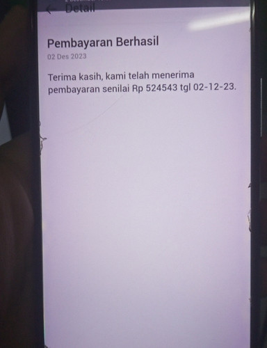 vindy aulia.jpg
