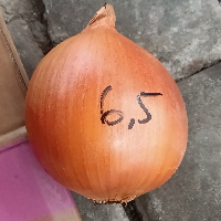 e802f0d4e6c3.png