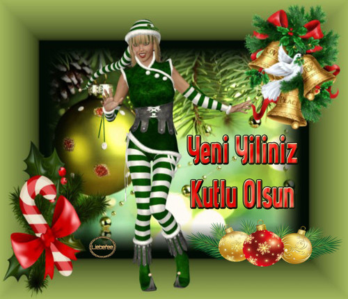 Yeni Yiliniz Kutlu Olsun 3 dsg liebefee.jpg