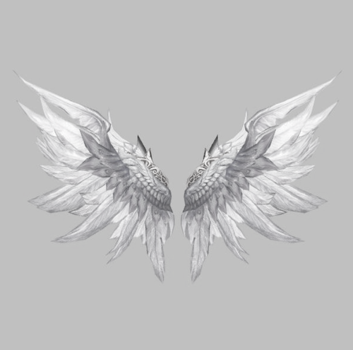 base reference wing2.png