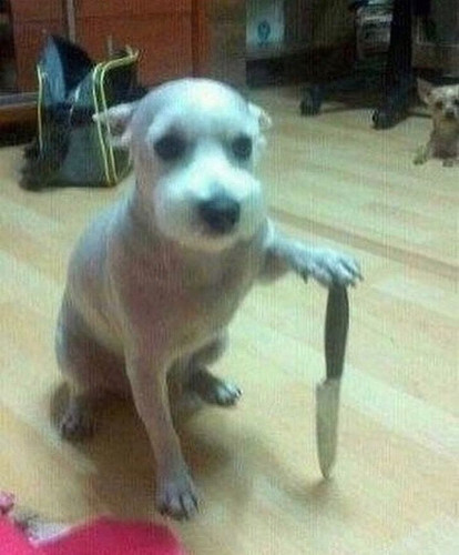 image.jpg