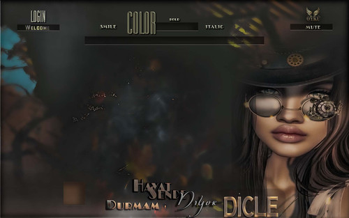 hayat sende kopya 2.jpg