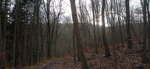 IMG 20231225 103556.jpg