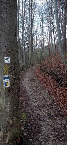 IMG 20231225 101340.jpg