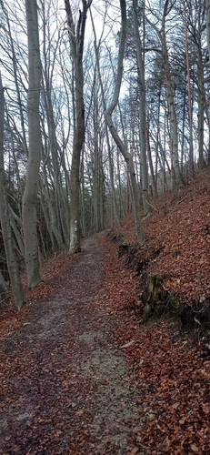 IMG 20231225 101320.jpg