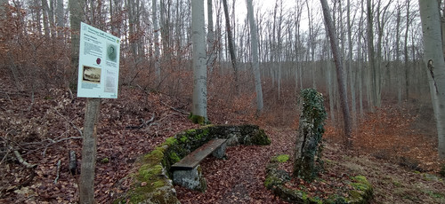 IMG 20231225 104226.jpg