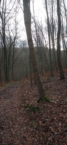 IMG 20231225 103601.jpg