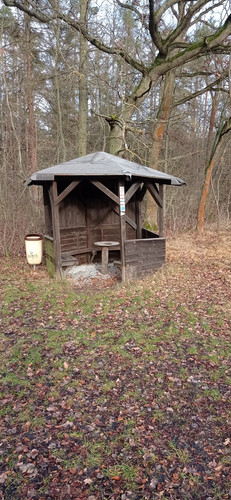 IMG 20231225 110108.jpg