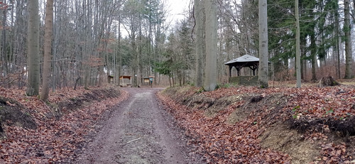 IMG 20231225 150257.jpg